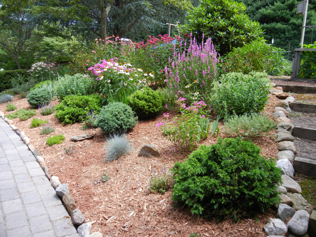 Before Landscaping