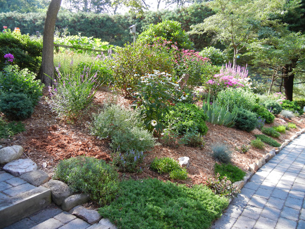 Before Landscaping