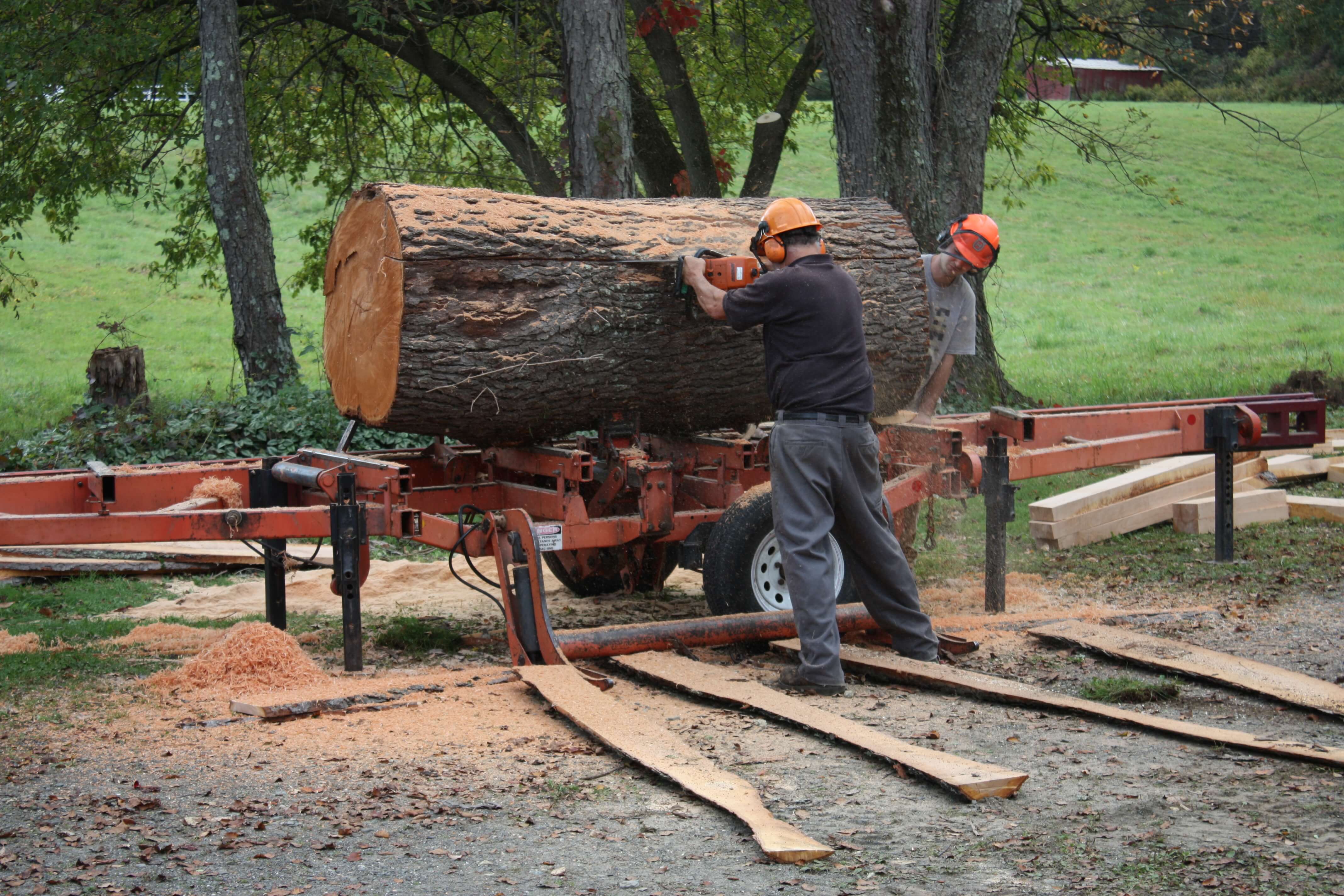 heavy-duty-mj2500-large-timber-band-sawmill-electric-log-bandsaw-mill